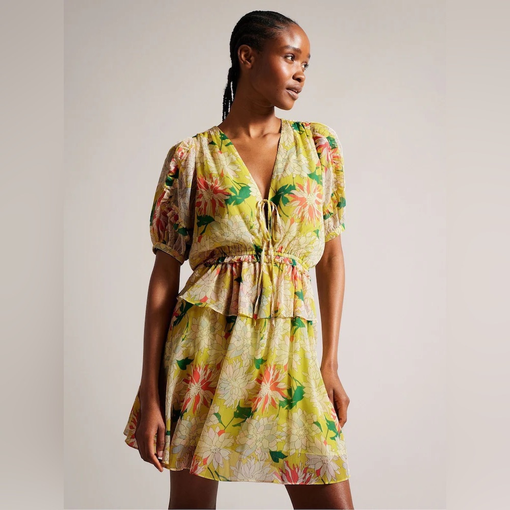 BNWT Ted Baker London Dress